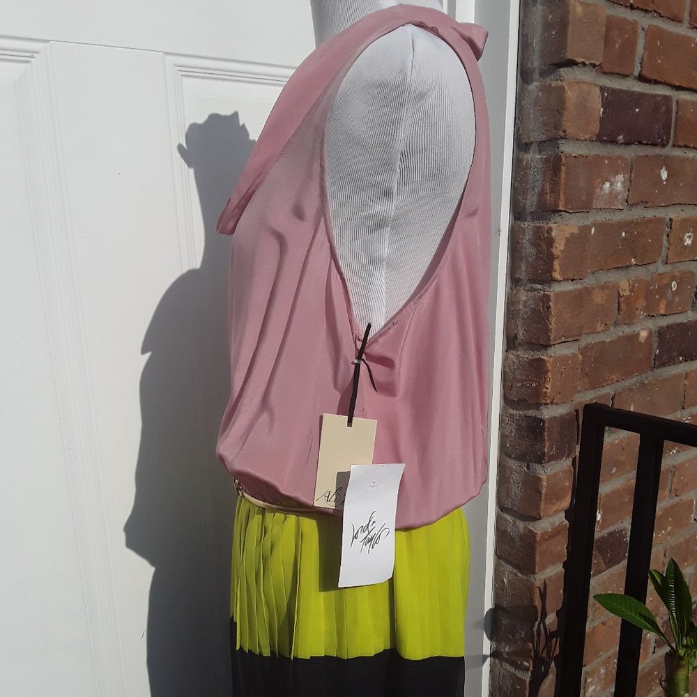 NWT  LORD & TAYLOR ALI-RO SILK SPECIAL OCCASION DRESS SZ 12 - Picture 5 of 9